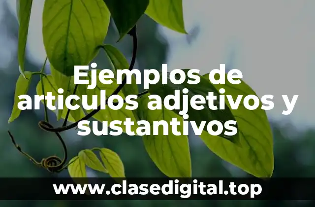 Ejemplos de articulos adjetivos y sustantivos