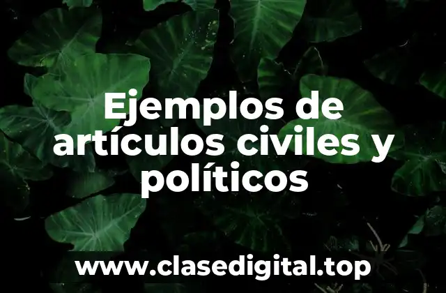 Ejemplos de artículos civiles y políticos