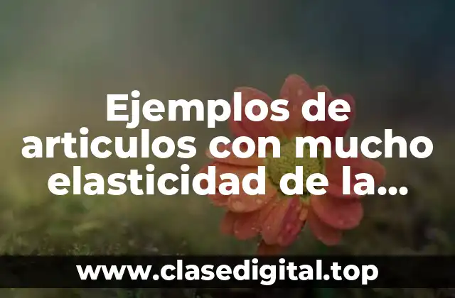 Ejemplos de articulos con mucho elasticidad de la demanda