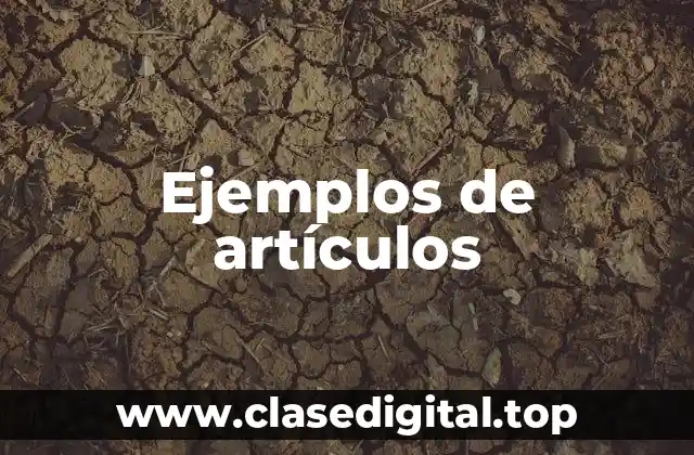 Ejemplos de artículos