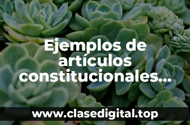 Ejemplos de artículos constitucionales referentes a derecho mercantil