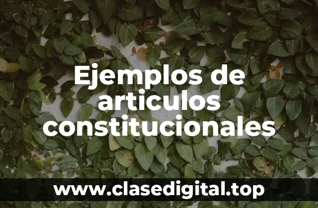 Ejemplos de articulos constitucionales