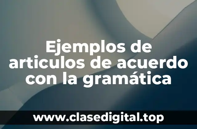 Ejemplos de articulos de acuerdo con la gramática
