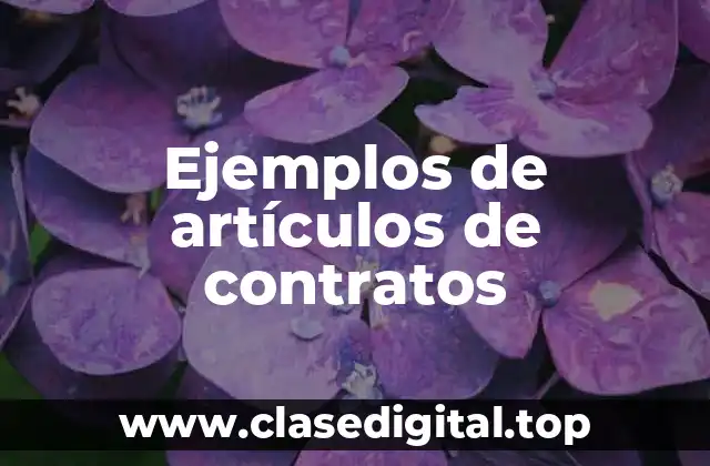 Ejemplos de artículos de contratos
