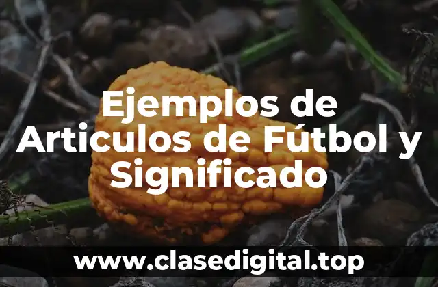 Ejemplos de Artículos de Fútbol