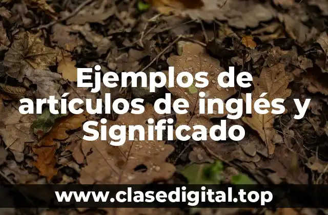 Ejemplos de artículos de inglés y Significado