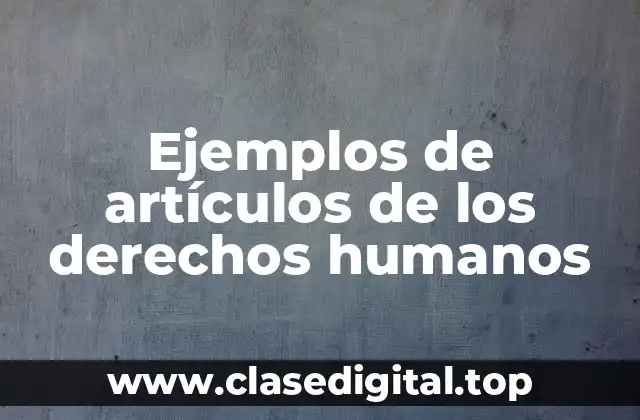 Ejemplos de artículos de los derechos humanos