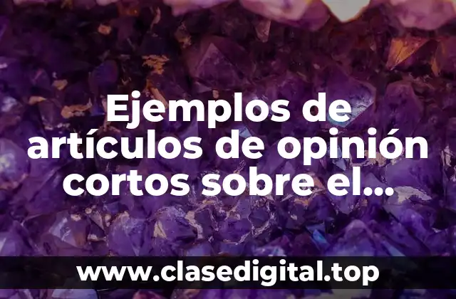 Ejemplos de artículos de opinión cortos sobre el aborto