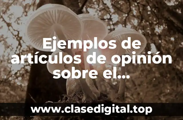Ejemplos de artículos de opinión sobre el calentamiento global