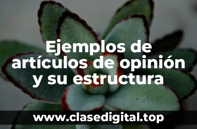 Ejemplos de artículos de opinión y su estructura