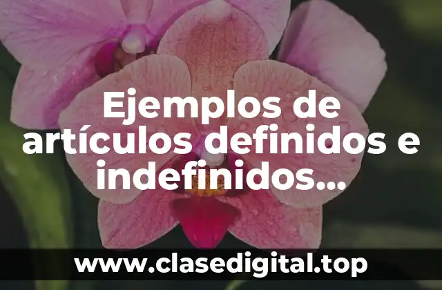 Ejemplos de artículos definidos e indefinidos expresión oral y escrita