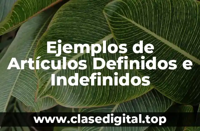 Ejemplos de Artículos Definidos e Indefinidos