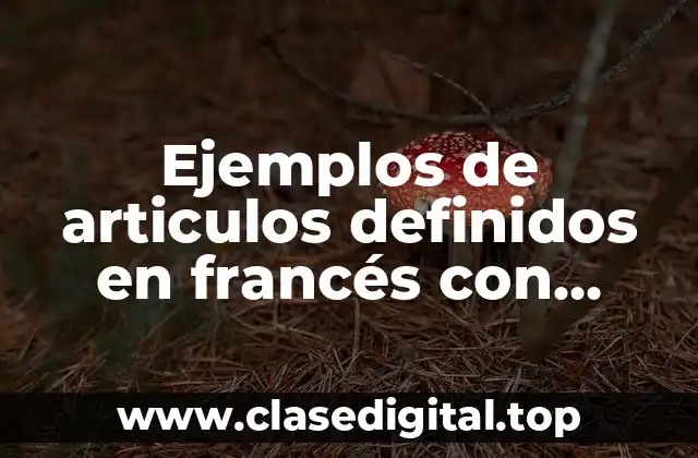 Ejemplos de articulos definidos en francés con países