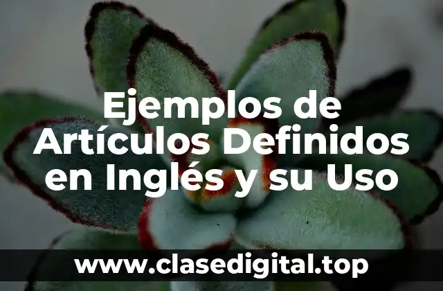 Ejemplos de Artículos Definidos en Inglés