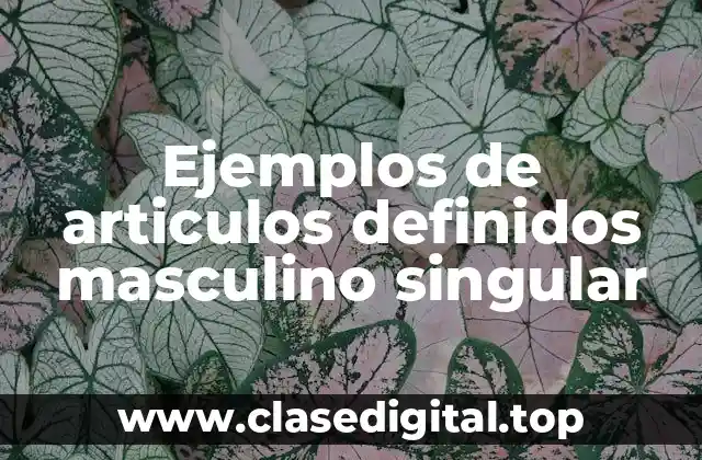 Ejemplos de articulos definidos masculino singular