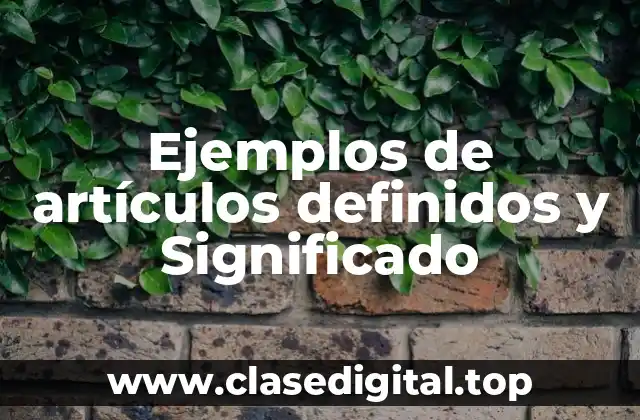 Ejemplos de artículos definidos y Significado