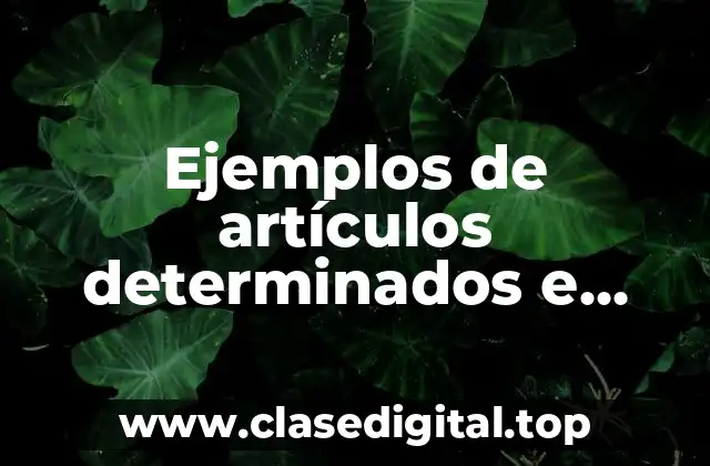 Ejemplos de artículos determinados en inglés