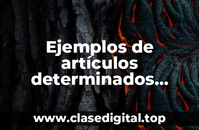 Ejemplos de artículos determinados modifican al verbo y Significado