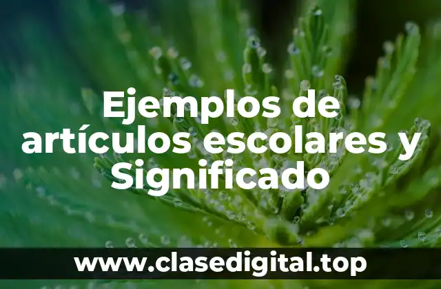 Ejemplos de artículos escolares y Significado