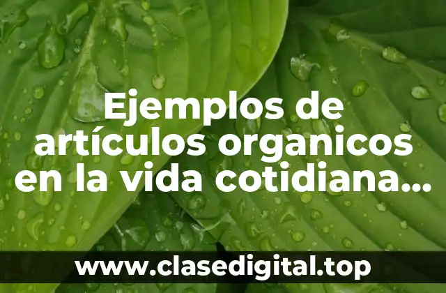 Ejemplos de artículos organicos en la vida cotidiana y Significado