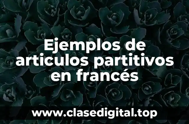 Ejemplos de articulos partitivos en francés