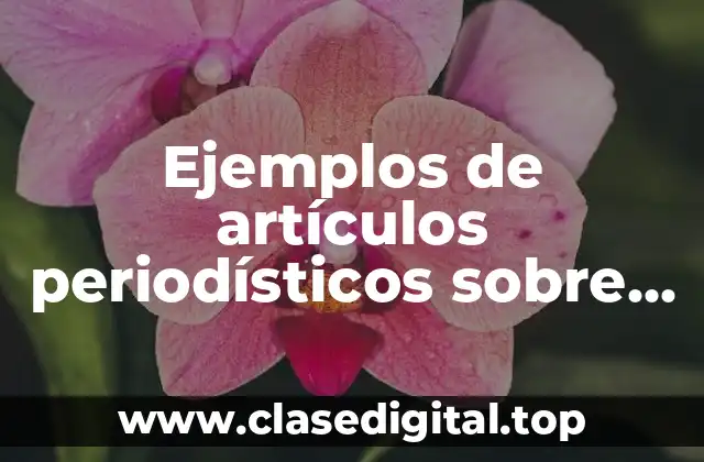 Ejemplos de artículos periodísticos sobre valores