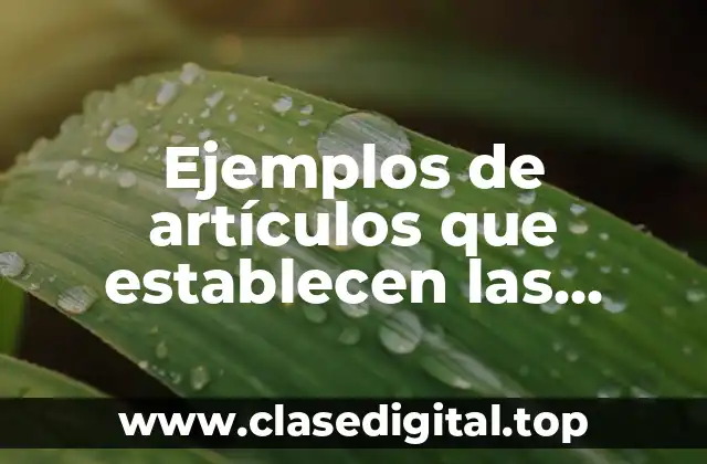 Ejemplos de artículos que establecen las garantías de libertad