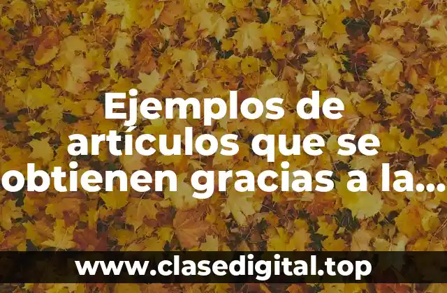 Ejemplos de artículos que se obtienen gracias a la obsidiana