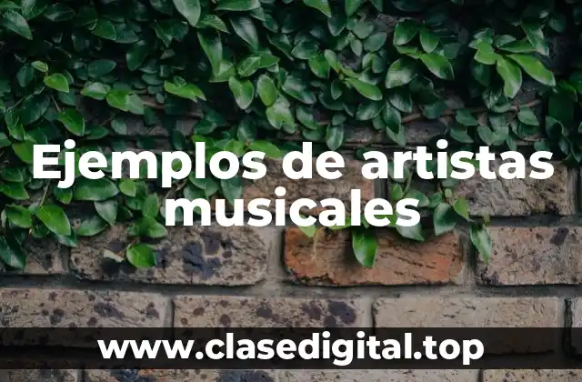 Ejemplos de artistas musicales