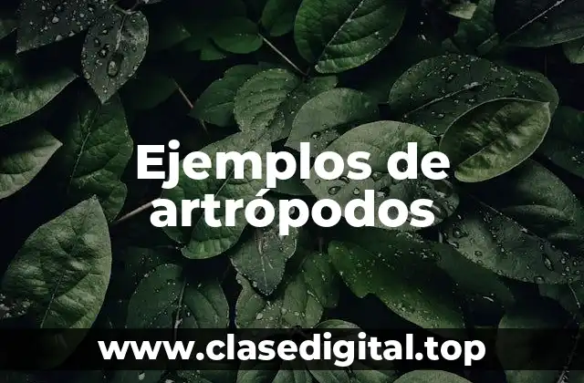 Ejemplos de artrópodos