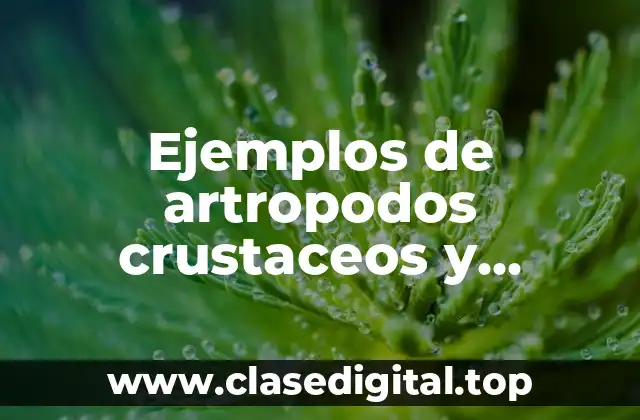 Ejemplos de artropodos crustaceos y Significado