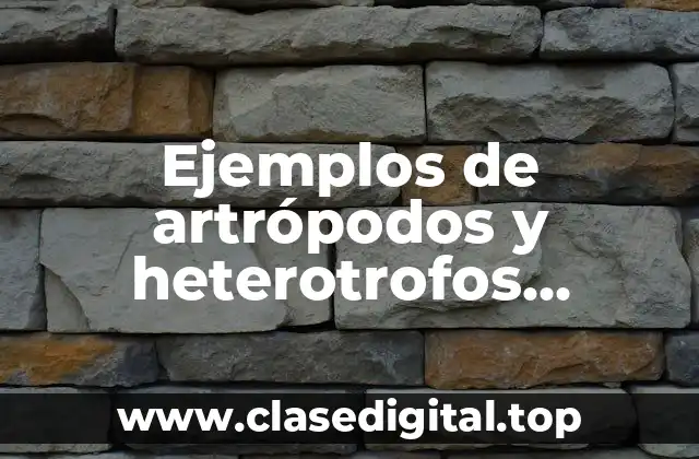 Ejemplos de artrópodos y heterotrofos planillas