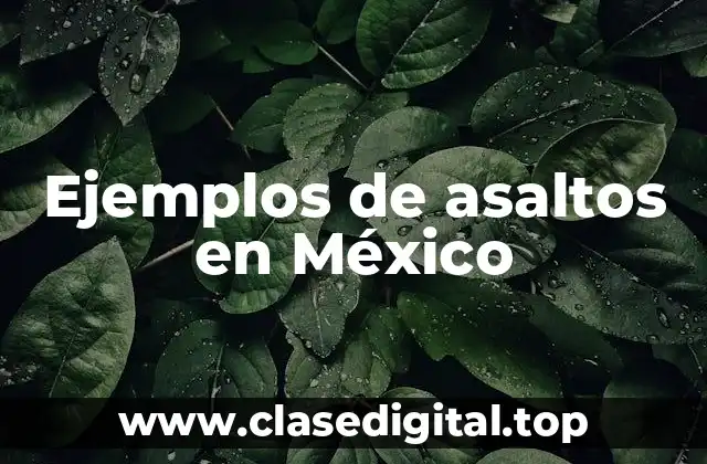 Ejemplos de asaltos en México