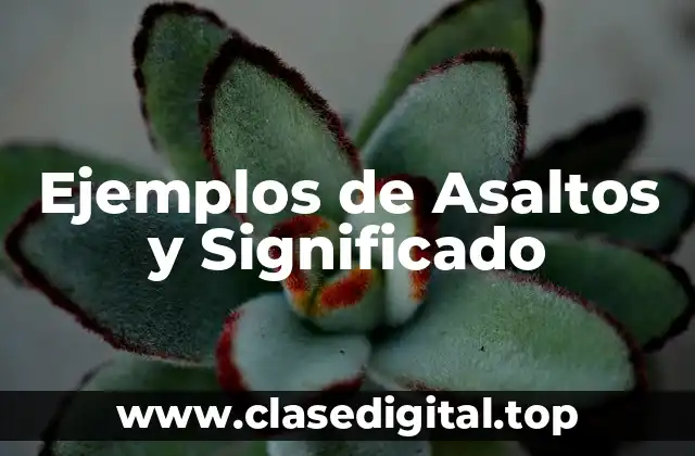 Ejemplos de Asaltos y Significado