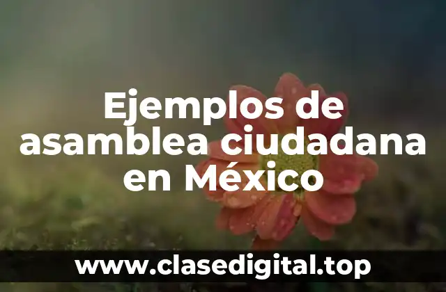 Ejemplos de asamblea ciudadana en México