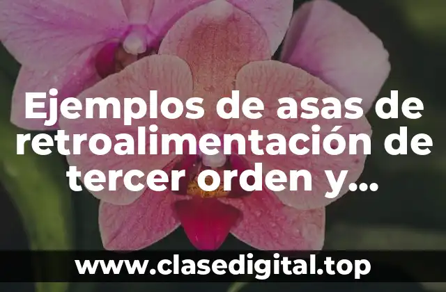 Ejemplos de asas de retroalimentación de tercer orden y Significado