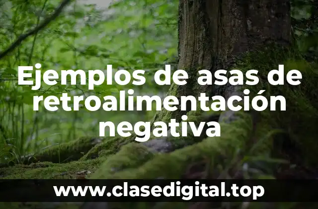 Ejemplos de asas de retroalimentación negativa