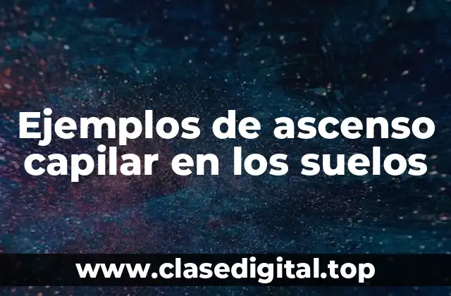 Ejemplos de ascenso capilar en los suelos