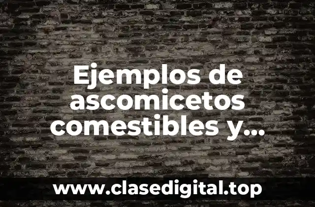Ejemplos de ascomicetos comestibles y destructores de madera