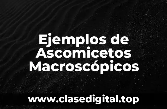 Ejemplos de ascomicetos macroscópicos