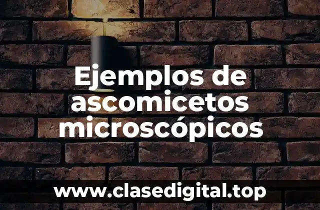 Ejemplos de ascomicetos microscópicos