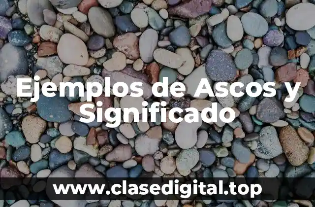 Ejemplos de Ascos y Significado