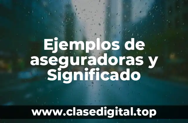 Ejemplos de aseguradoras y Significado
