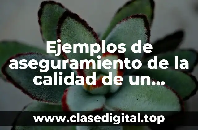 Ejemplos de aseguramiento de la calidad de un proyecto