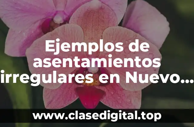 Ejemplos de asentamientos irregulares en Nuevo León