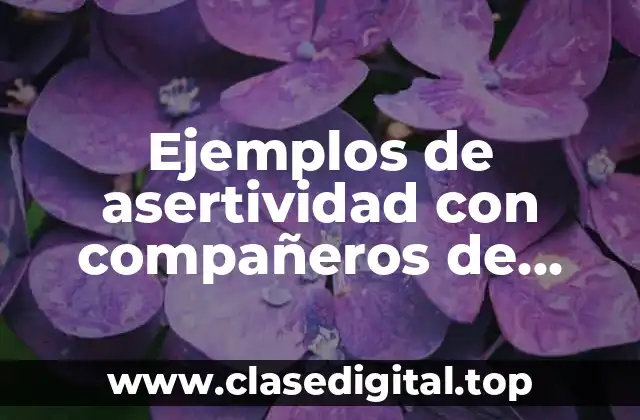 Ejemplos de asertividad con compañeros de clase