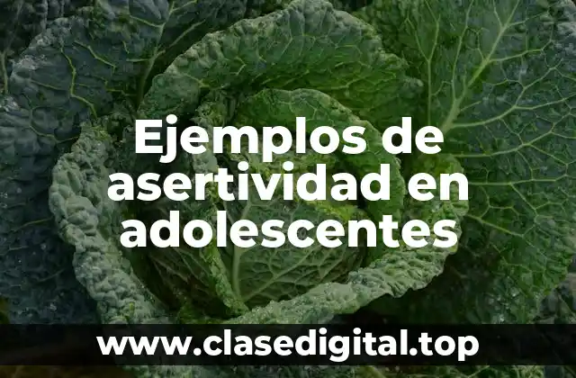 Ejemplos de asertividad en adolescentes