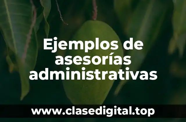 Ejemplos de asesorías administrativas