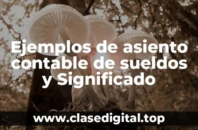 Ejemplos de asiento contable de sueldos y Significado