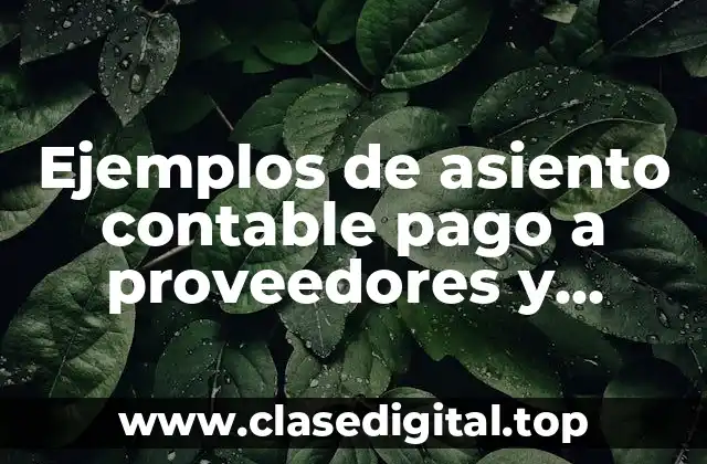Ejemplos de asiento contable pago a proveedores y Significado